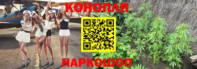 Альфа ПВП Ливны